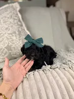 processed/15e0cef4-0a7d-43dc-8dac-48d419f9090c/listing/f2cfa7f2-7e8a-448c-a4e8-305a9b73a7fc/c81eac04-3591-4e0f-aa89-8821e31b8d02