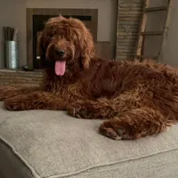 processed/15e6a6b9-4f1b-4b42-bd5a-aaf4e98b4742/facility/4982de51-096b-4fe1-81ba-5632f2e930ac