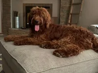 processed/15e6a6b9-4f1b-4b42-bd5a-aaf4e98b4742/facility/4982de51-096b-4fe1-81ba-5632f2e930ac