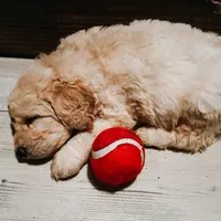 processed/15e6a6b9-4f1b-4b42-bd5a-aaf4e98b4742/facility/768def33-af0f-4ed4-afab-48c848604be6