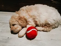 processed/15e6a6b9-4f1b-4b42-bd5a-aaf4e98b4742/facility/768def33-af0f-4ed4-afab-48c848604be6