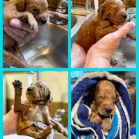 processed/15e6a6b9-4f1b-4b42-bd5a-aaf4e98b4742/facility/7a9a9065-7f49-461c-9f37-6d327a47c0cd