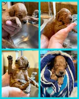 processed/15e6a6b9-4f1b-4b42-bd5a-aaf4e98b4742/facility/7a9a9065-7f49-461c-9f37-6d327a47c0cd