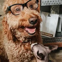 processed/15e6a6b9-4f1b-4b42-bd5a-aaf4e98b4742/facility/8f9992b4-9e62-4c5f-833f-d2368592c598