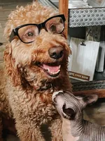 processed/15e6a6b9-4f1b-4b42-bd5a-aaf4e98b4742/facility/8f9992b4-9e62-4c5f-833f-d2368592c598