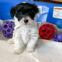 processed/15e6a6b9-4f1b-4b42-bd5a-aaf4e98b4742/facility/9d839a9f-6621-4fcd-8591-0a95eba955e9