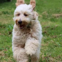 processed/15e6a6b9-4f1b-4b42-bd5a-aaf4e98b4742/facility/b9e8251d-f3d2-4ecb-bc2d-a43166c73c94