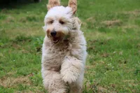 processed/15e6a6b9-4f1b-4b42-bd5a-aaf4e98b4742/facility/b9e8251d-f3d2-4ecb-bc2d-a43166c73c94