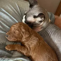 processed/15e6a6b9-4f1b-4b42-bd5a-aaf4e98b4742/facility/bd3d25c0-47b9-4e93-a515-887e3c45fa7b