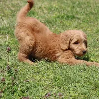 processed/15e6a6b9-4f1b-4b42-bd5a-aaf4e98b4742/facility/c24a24a9-4832-49d2-8280-aa5fae58c63e