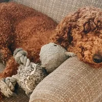 processed/15e6a6b9-4f1b-4b42-bd5a-aaf4e98b4742/facility/cf4f65ed-f0f4-4069-b786-f5554780f1be