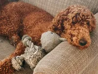 processed/15e6a6b9-4f1b-4b42-bd5a-aaf4e98b4742/facility/cf4f65ed-f0f4-4069-b786-f5554780f1be