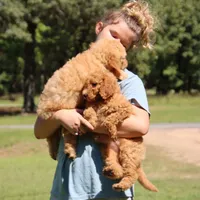 processed/15e6a6b9-4f1b-4b42-bd5a-aaf4e98b4742/facility/d5d3aa18-035c-4f90-82c1-50aea926e493