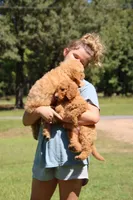 processed/15e6a6b9-4f1b-4b42-bd5a-aaf4e98b4742/facility/d5d3aa18-035c-4f90-82c1-50aea926e493