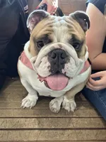 processed/15ebe88e-9d0f-4155-8785-5420f65f77fa/listing/3875e5b3-b053-470d-b441-30507882c6fe/79ae441d-80a4-431a-be1c-0d799188c538