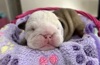 processed/15ebe88e-9d0f-4155-8785-5420f65f77fa/listing/3875e5b3-b053-470d-b441-30507882c6fe/907c8f14-9028-4d6f-9abc-dafedcfff2fe