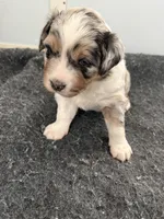 processed/15eed0b0-7a8a-4fa9-991c-1a0ae8acdcf5/listing/c86df297-85a5-414b-a4fc-b7fe41d3c02f/2861c655-c5a1-44e4-9397-9de011faaaf9