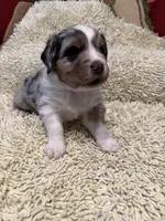 processed/15eed0b0-7a8a-4fa9-991c-1a0ae8acdcf5/listing/c86df297-85a5-414b-a4fc-b7fe41d3c02f/9764a912-3609-4b59-a89e-53a645066a90