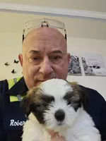 Weezer, a male Lhasa Apso and Shih Tzu for sale in Baltimore, MD – Photo 3 of 8