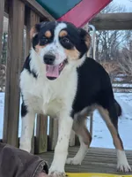 processed/1604bc53-f46b-46e8-ba31-245dd081cf3e/listing/97d6a8d8-529b-430d-a461-4aacf880edd1/06b4ed2f-08e8-4740-a42e-c10bb44f97bb