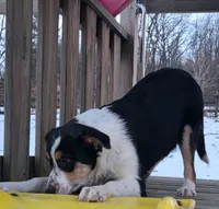 processed/1604bc53-f46b-46e8-ba31-245dd081cf3e/listing/97d6a8d8-529b-430d-a461-4aacf880edd1/5712d9d8-d8b2-400f-9769-20e2dee6ab45