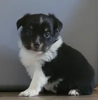 processed/160659e2-f74b-4b95-af3c-00932892fb63/facility/1f581396-af21-4f5b-a8ea-60ea3b3822c3