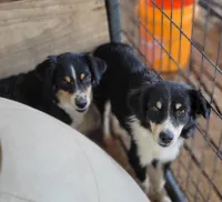 processed/160659e2-f74b-4b95-af3c-00932892fb63/facility/2625f73d-840b-44ea-b91e-f0a5d076e07d