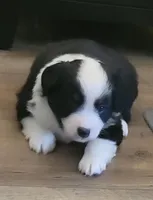 processed/160659e2-f74b-4b95-af3c-00932892fb63/facility/3053802a-2c90-4266-a273-44c05f35d64a