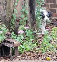 processed/160659e2-f74b-4b95-af3c-00932892fb63/facility/55664953-6a0e-4131-b383-a86cf0d4e505