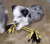 processed/160659e2-f74b-4b95-af3c-00932892fb63/facility/57f35fc7-6884-4053-82cf-fe7df45c9b31