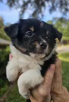 processed/160659e2-f74b-4b95-af3c-00932892fb63/facility/6eecdd12-3b22-44f3-9ccd-6652a84a9edf