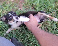 processed/160659e2-f74b-4b95-af3c-00932892fb63/facility/76764d03-517d-4c6a-8d9c-63cb36b84c2a