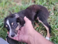 processed/160659e2-f74b-4b95-af3c-00932892fb63/facility/a6a008a9-182c-4ee7-896d-cd579170abd0