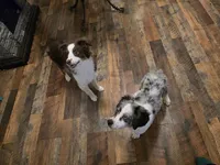 processed/160659e2-f74b-4b95-af3c-00932892fb63/facility/a6a27fdc-94a7-41b0-829b-611ab8921e50