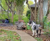 processed/160659e2-f74b-4b95-af3c-00932892fb63/facility/c3993499-5807-48f7-89b5-fdc3c85cbd03