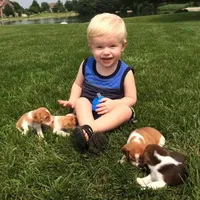 processed/1608f997-d970-4bba-a04a-054fe9d1748e/facility/00b2f430-70b5-4793-83f0-7b45a76334cf