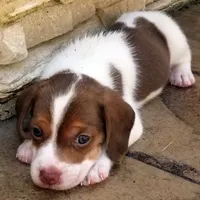 processed/1608f997-d970-4bba-a04a-054fe9d1748e/facility/39e29f96-51c6-479d-9469-a3d6d6fd3c69