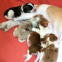 processed/1608f997-d970-4bba-a04a-054fe9d1748e/facility/4dace42f-2b85-4e8b-b04f-4924016dfdeb