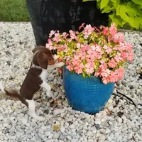 processed/1608f997-d970-4bba-a04a-054fe9d1748e/facility/989f8533-239f-4001-8384-2a19f78abcca