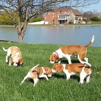 processed/1608f997-d970-4bba-a04a-054fe9d1748e/facility/b4fce89c-8197-44af-b31a-20929194b2d8