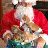 processed/1608f997-d970-4bba-a04a-054fe9d1748e/facility/f4e3336d-7fa9-414d-891c-ba4c67f98d5e