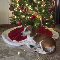 Pocket Bubbles, a female Beagle for sale in Marissa, IL – Photo 3 of 10