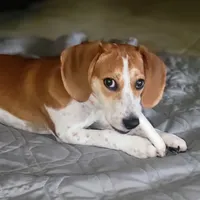 processed/1608f997-d970-4bba-a04a-054fe9d1748e/listing/09b02194-227c-473a-8230-0cf279948891/bcfc6124-6fca-43cd-8716-29506a935dc2