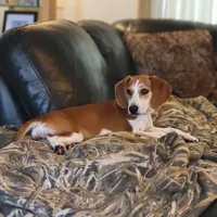 processed/1608f997-d970-4bba-a04a-054fe9d1748e/listing/09b02194-227c-473a-8230-0cf279948891/c14a94d0-5138-4d6f-835f-edd505aaadfa