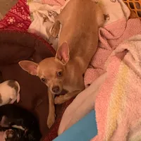 processed/160bbc07-3bff-46b8-90e0-0e6f74d02132/facility/08adcf34-d3c3-45fa-b975-fe348f251083