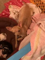 processed/160bbc07-3bff-46b8-90e0-0e6f74d02132/facility/08adcf34-d3c3-45fa-b975-fe348f251083