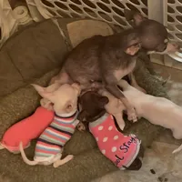 processed/160bbc07-3bff-46b8-90e0-0e6f74d02132/facility/182d4e8a-50e3-4ec3-a795-a7261287a6eb