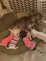 processed/160bbc07-3bff-46b8-90e0-0e6f74d02132/facility/182d4e8a-50e3-4ec3-a795-a7261287a6eb