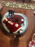 processed/160bbc07-3bff-46b8-90e0-0e6f74d02132/facility/218be89e-eb4e-4e0d-87c9-01071bd4da3e