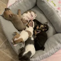 processed/160bbc07-3bff-46b8-90e0-0e6f74d02132/facility/7be9fd42-d3c7-4903-b709-4623fc8c2acf